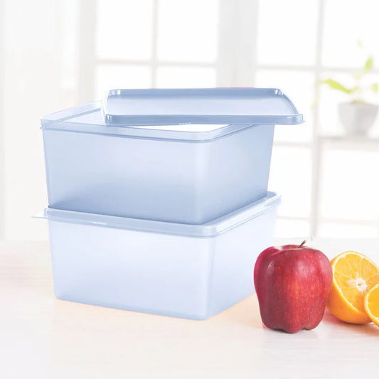 Keep Tab 500ML Lunch Box (Set of 2)