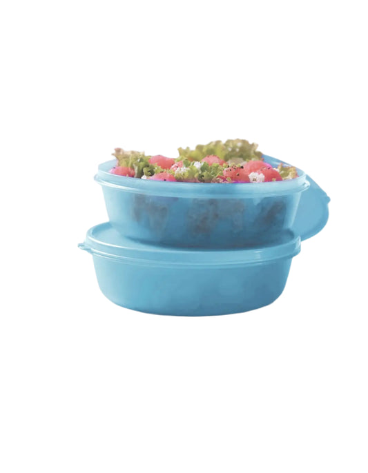 1Ltr SS BOWL (Set of 2) Tupperware